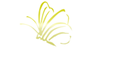 Gentle Touch Body Care